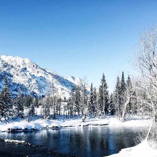 . Travel Guide to Jackson Hole, Wyoming