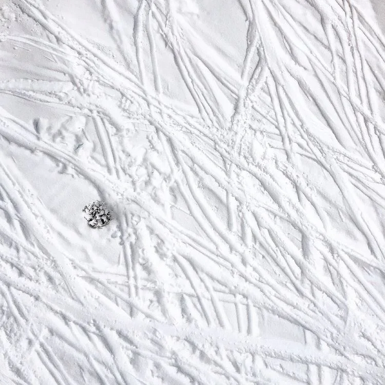 Ski Lake Tahoe, Travel Guide to Lake Tahoe, Dulci Edge, The Far & Near