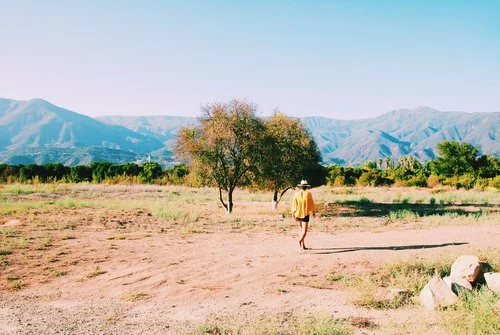 Travel Guide to Ojai, California.