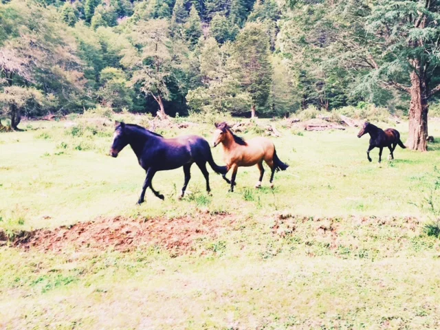 vscocam-photo-2.jpg