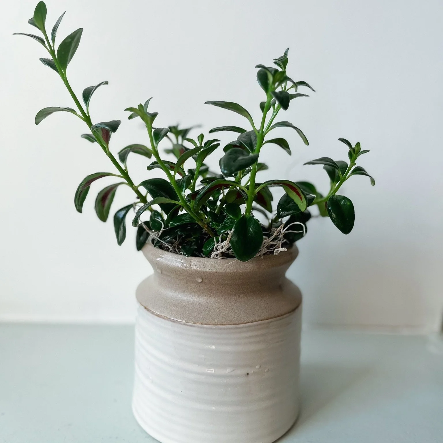 95378990-4A5B-420E-812C-6624A1279C95.jpg