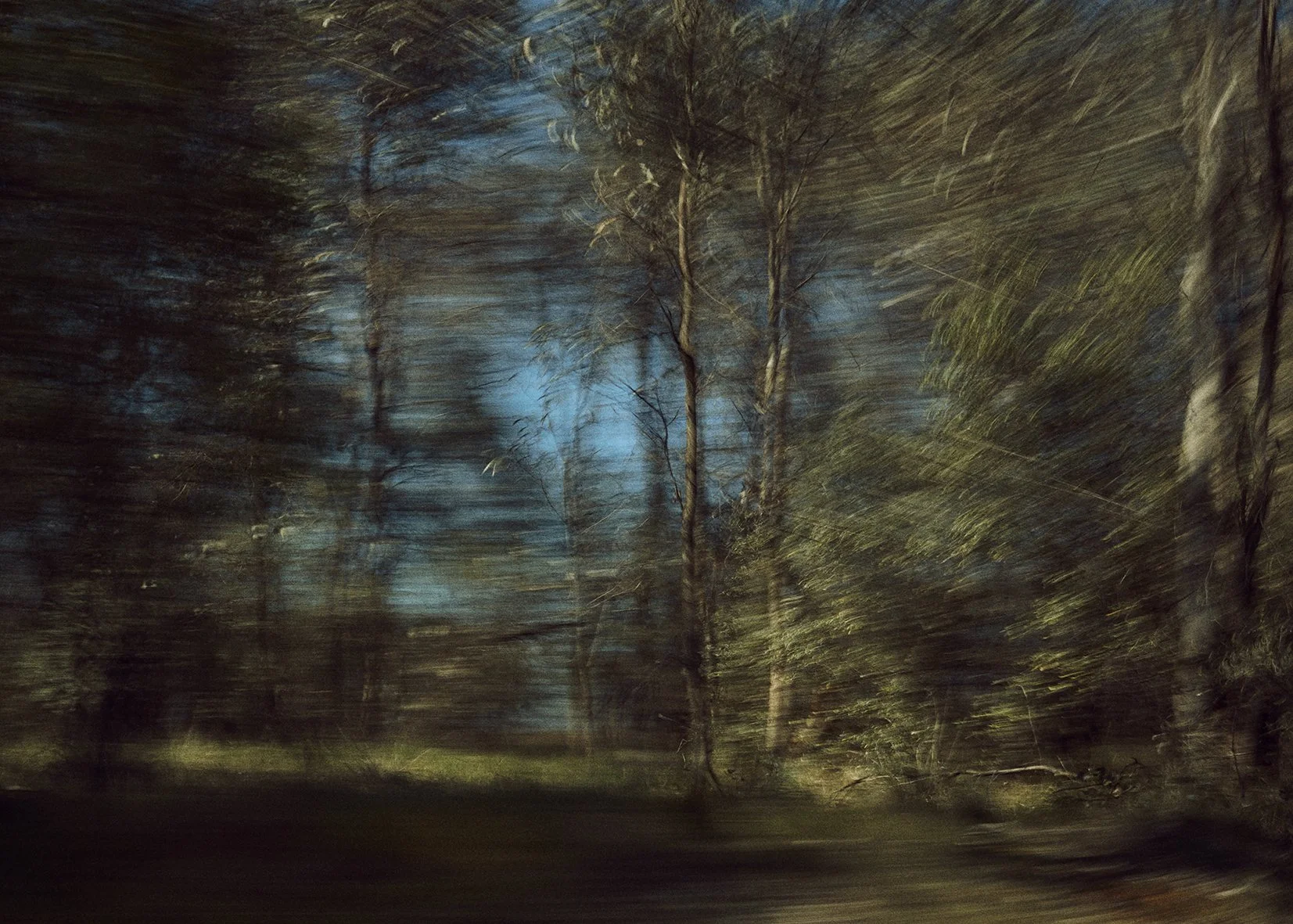 _L3A2922.jpg