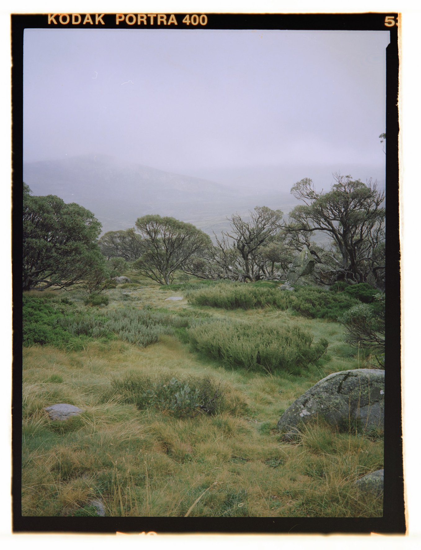 landscape_photo_landscape2.jpg