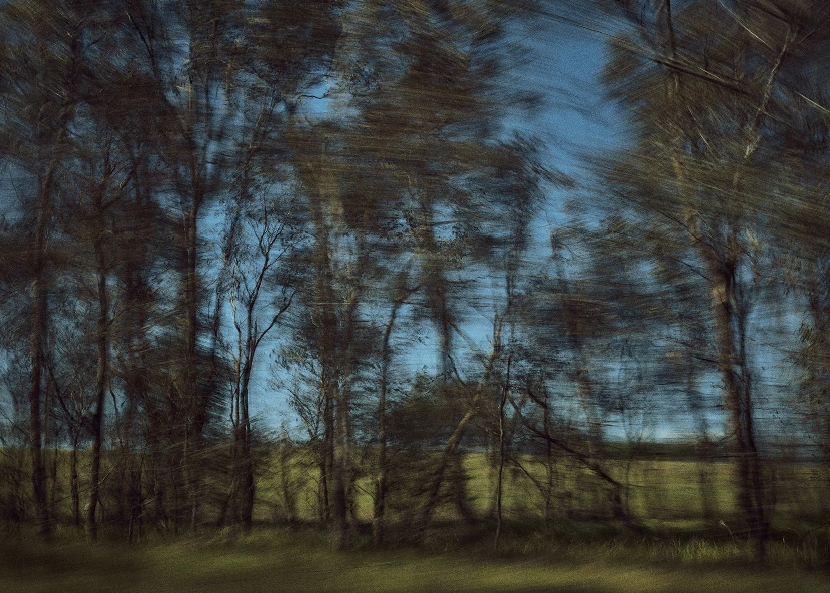 _L3A2919.jpg