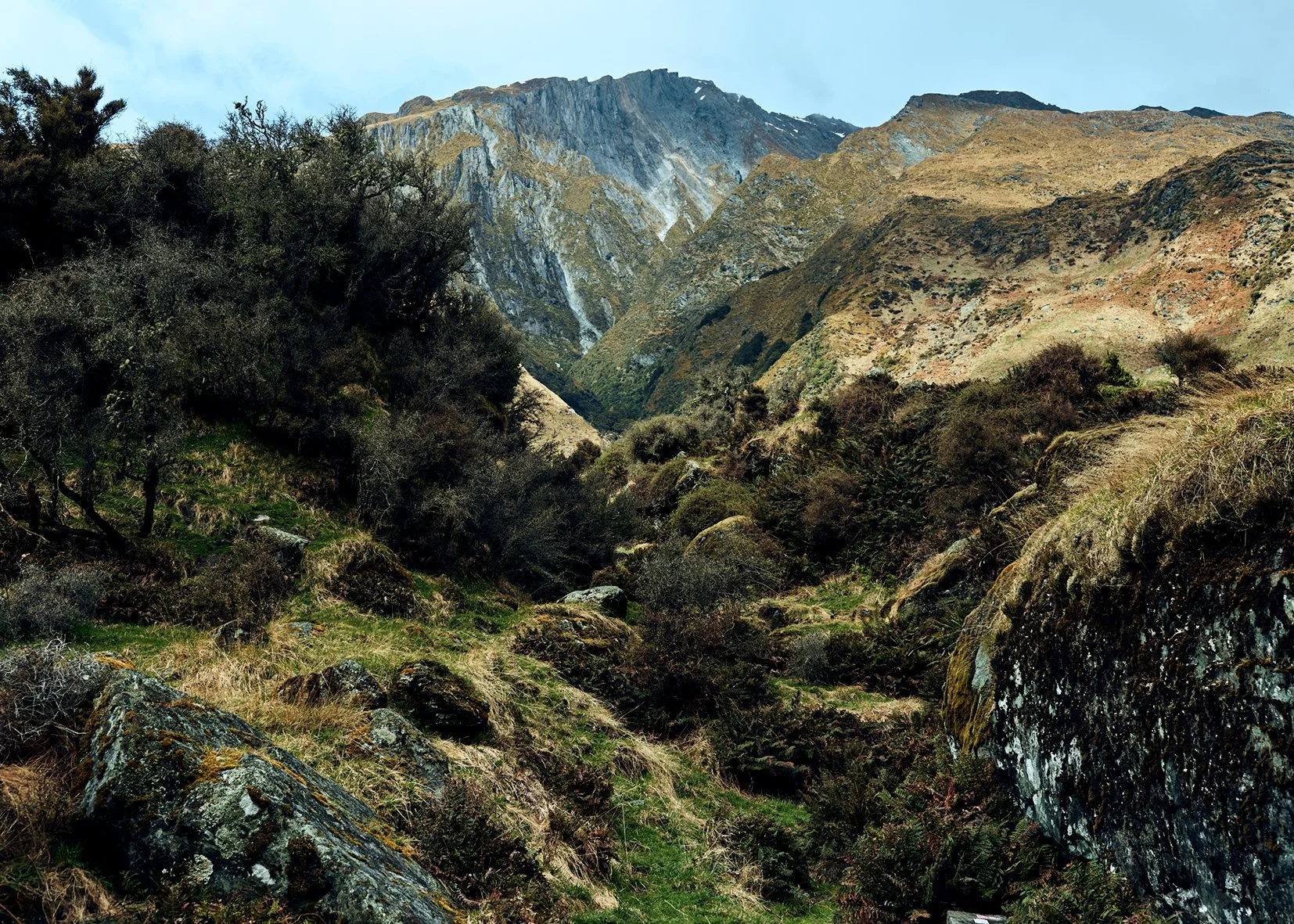 WanakaNewZealand15.jpg