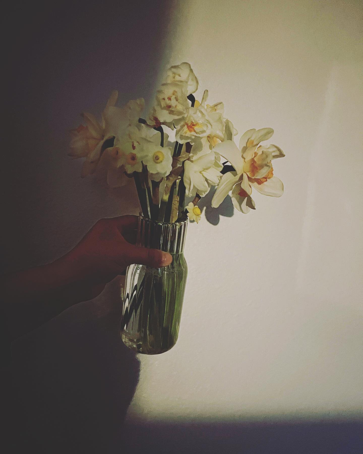 I&rsquo;m not a professional but I really enjoy photography, love how these moody shots of a sunny flower arrangement turned out. Calling this: &ldquo;daffodils in the dark&rdquo;.