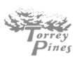 TorreyPines2.png