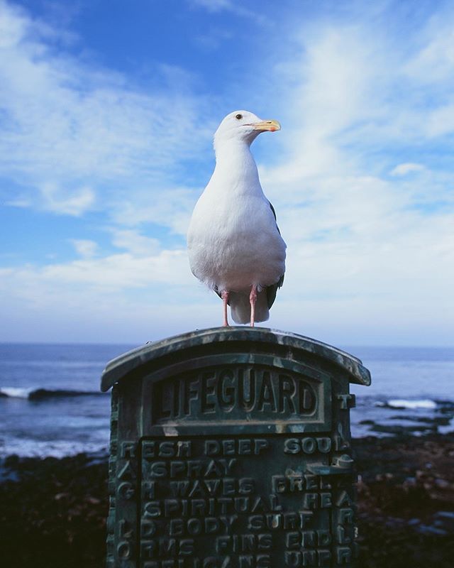 #pentax645 #velvia100 #filmphotography