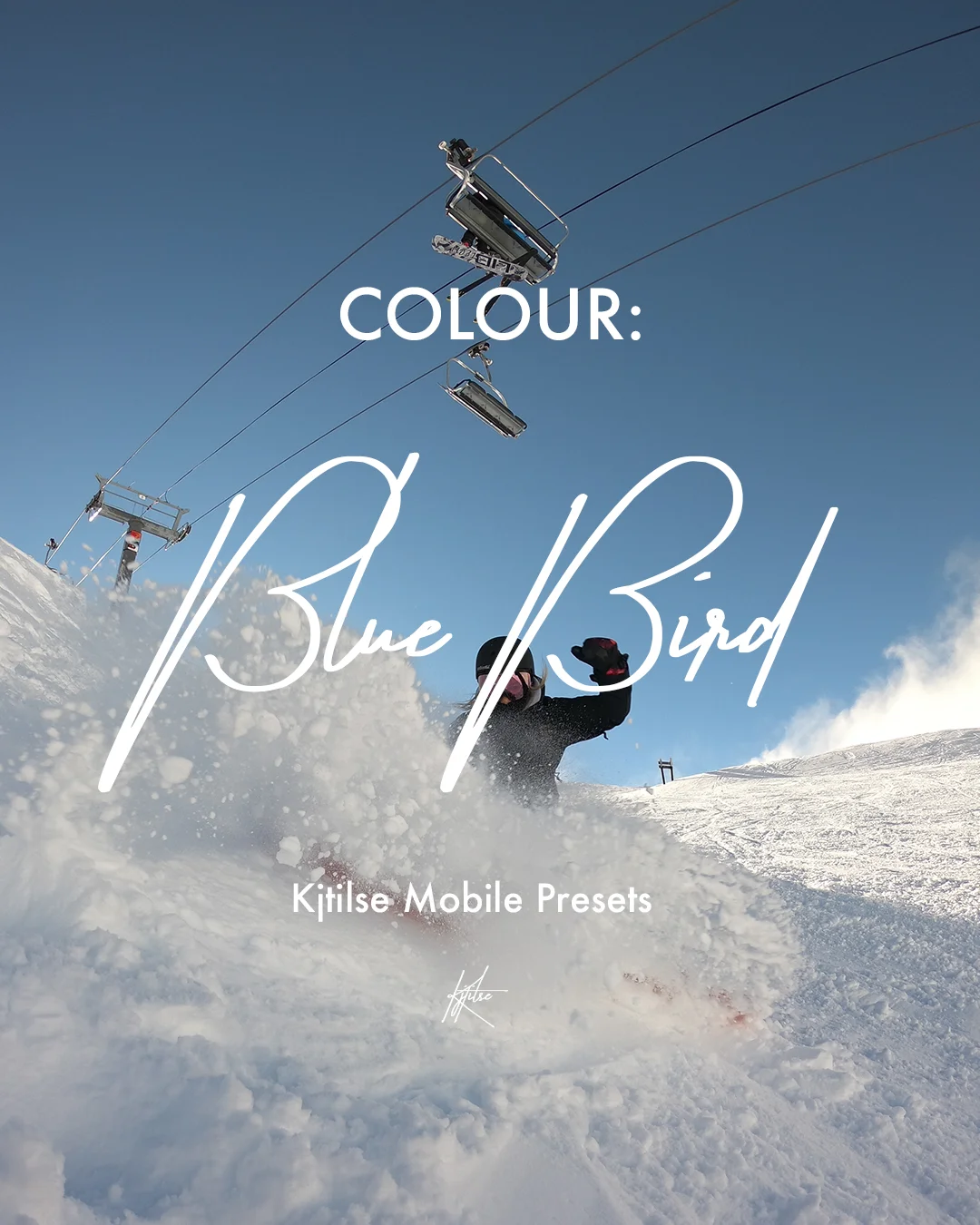 Blue Bird.jpg
