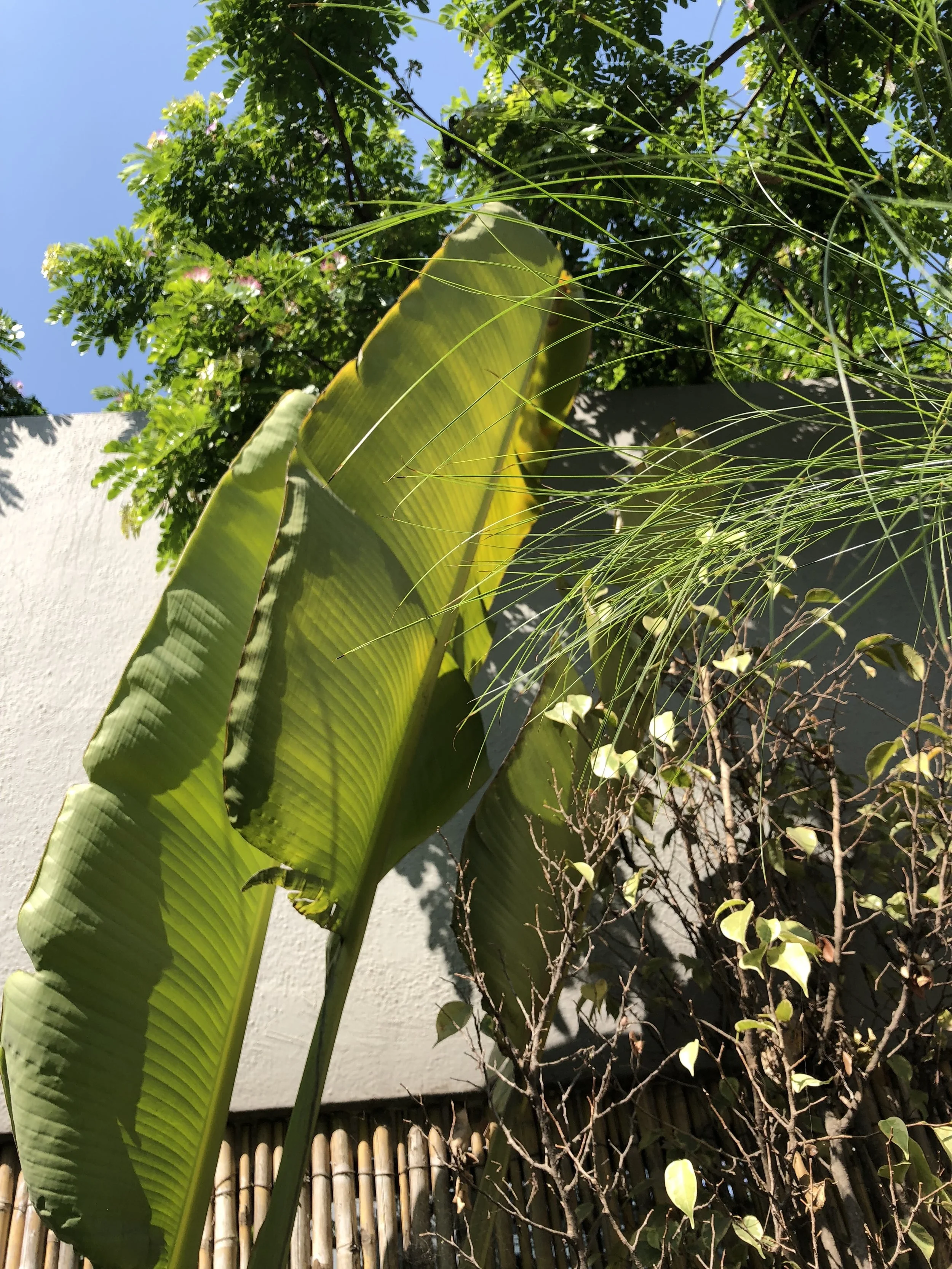 IMG_0622.JPG