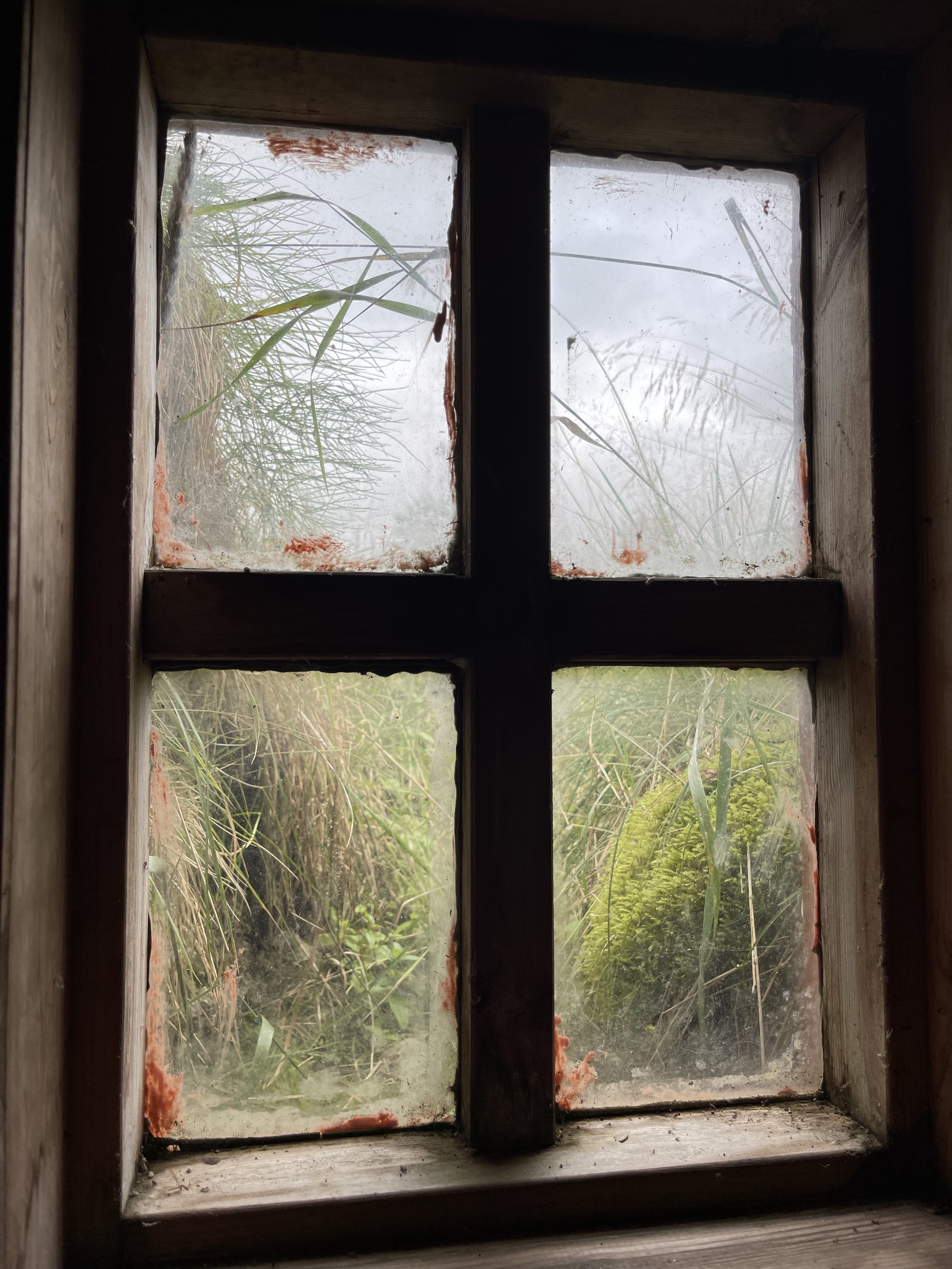 IMG_2210.jpeg