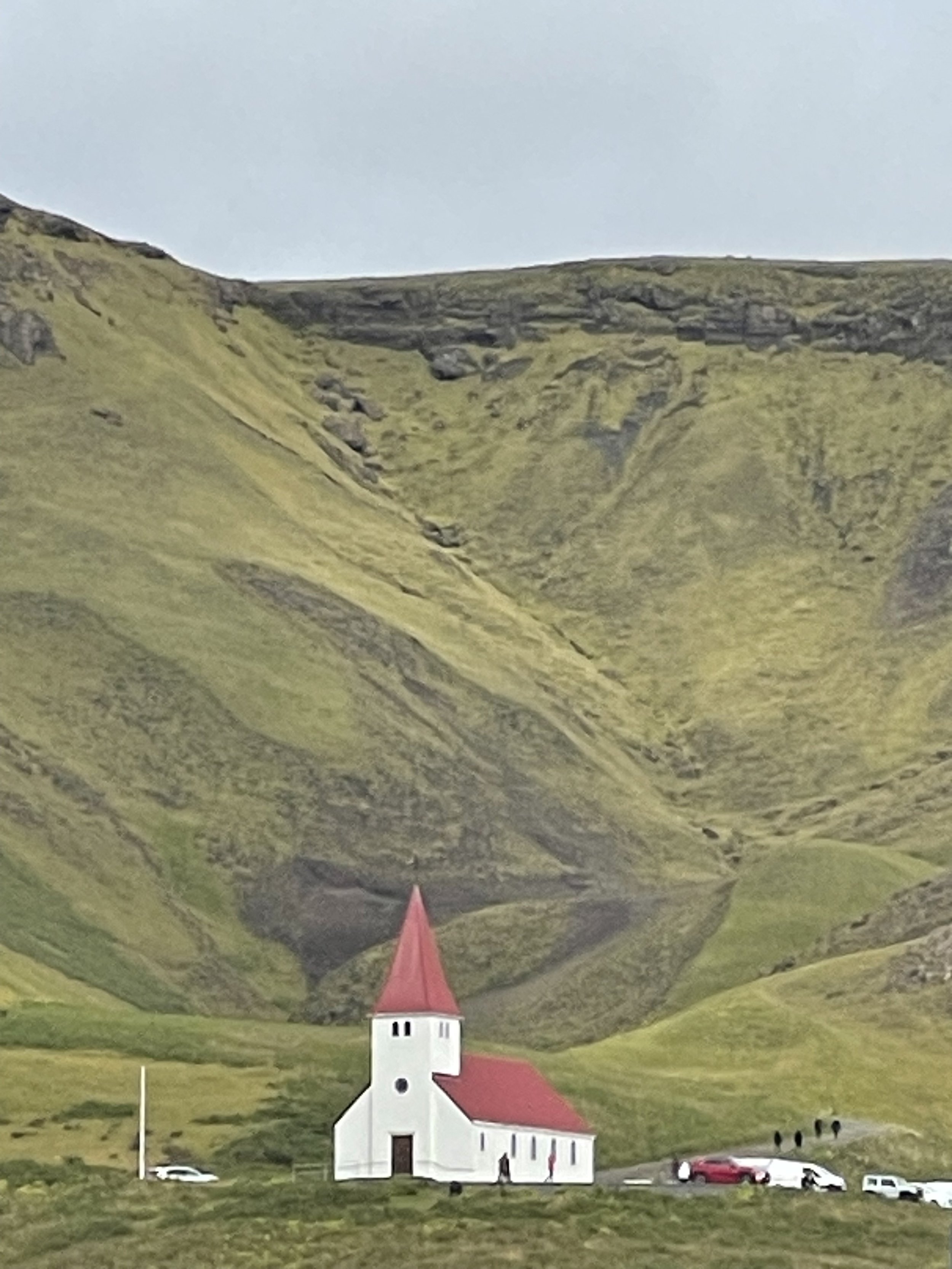 IMG_2231.jpeg