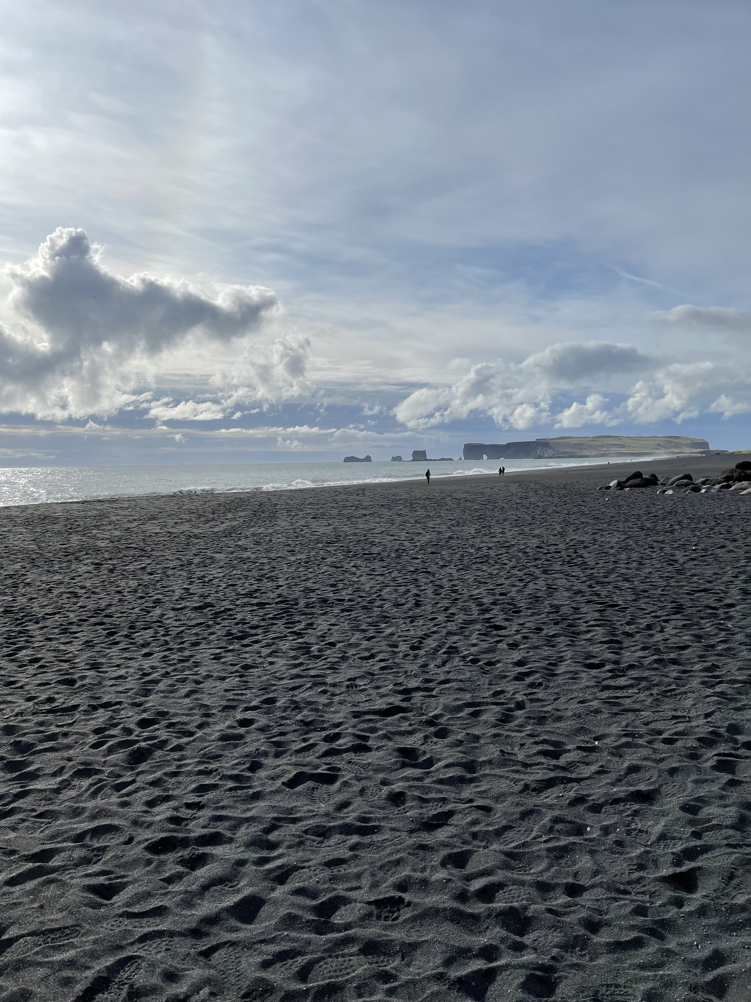 IMG_2233.jpeg