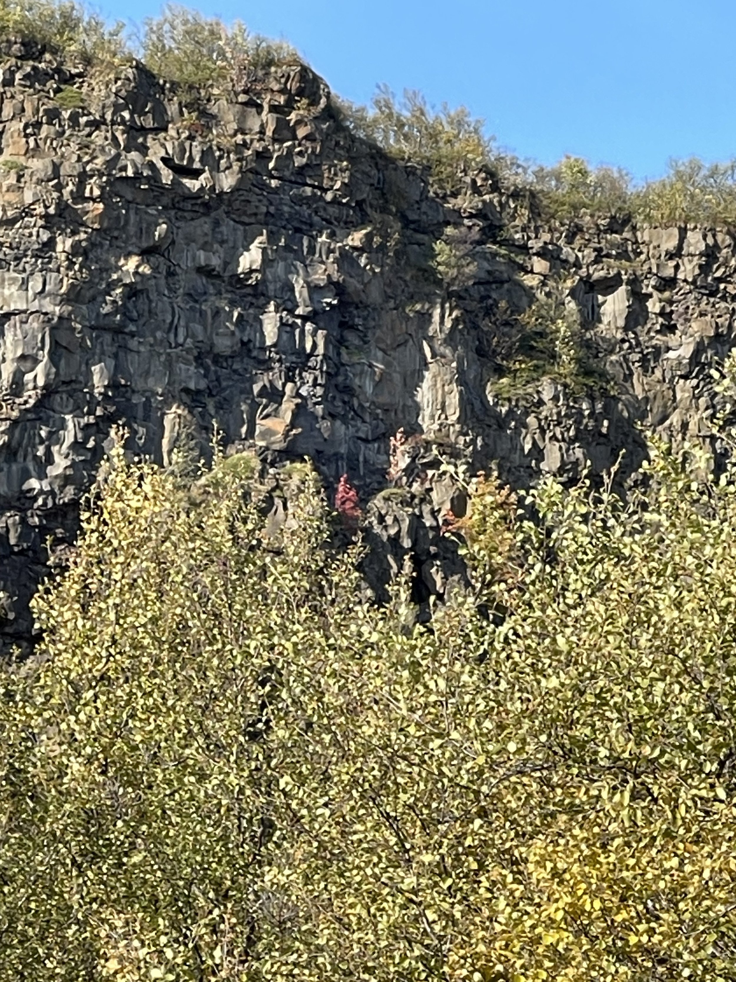 IMG_2345.jpeg