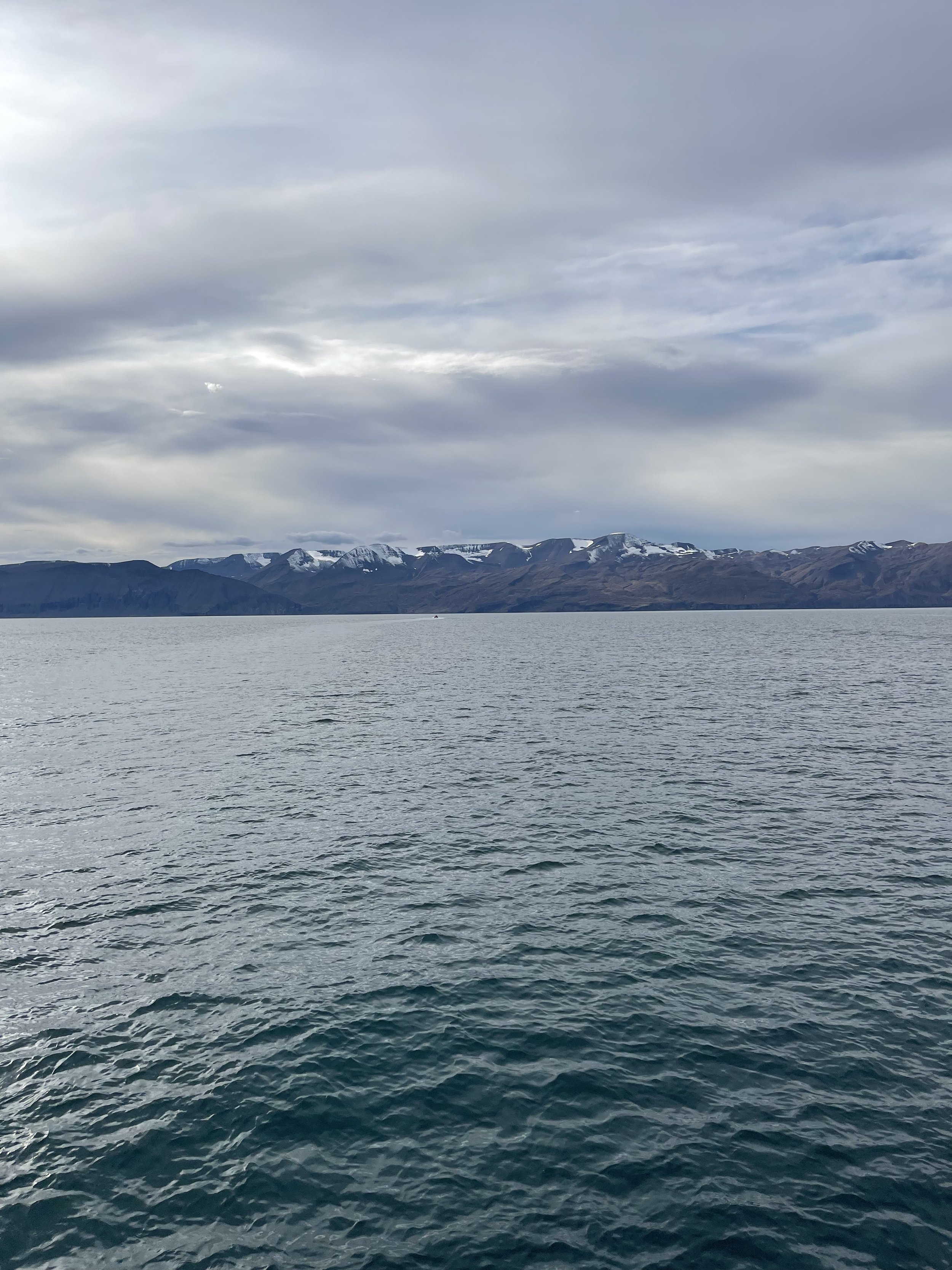 IMG_2388.jpeg