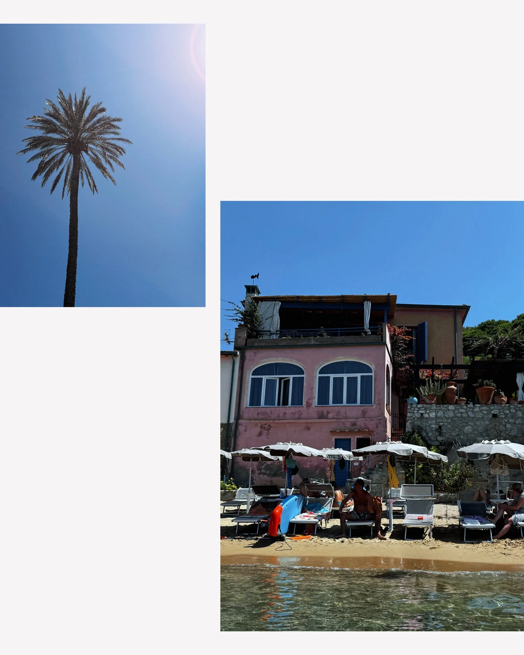 Photos de la plage de Forno à l'ile d'Elbe, palmier solitaire et maison rose, à l'origine du tableau Biod'Oh la la de Claire Maoui