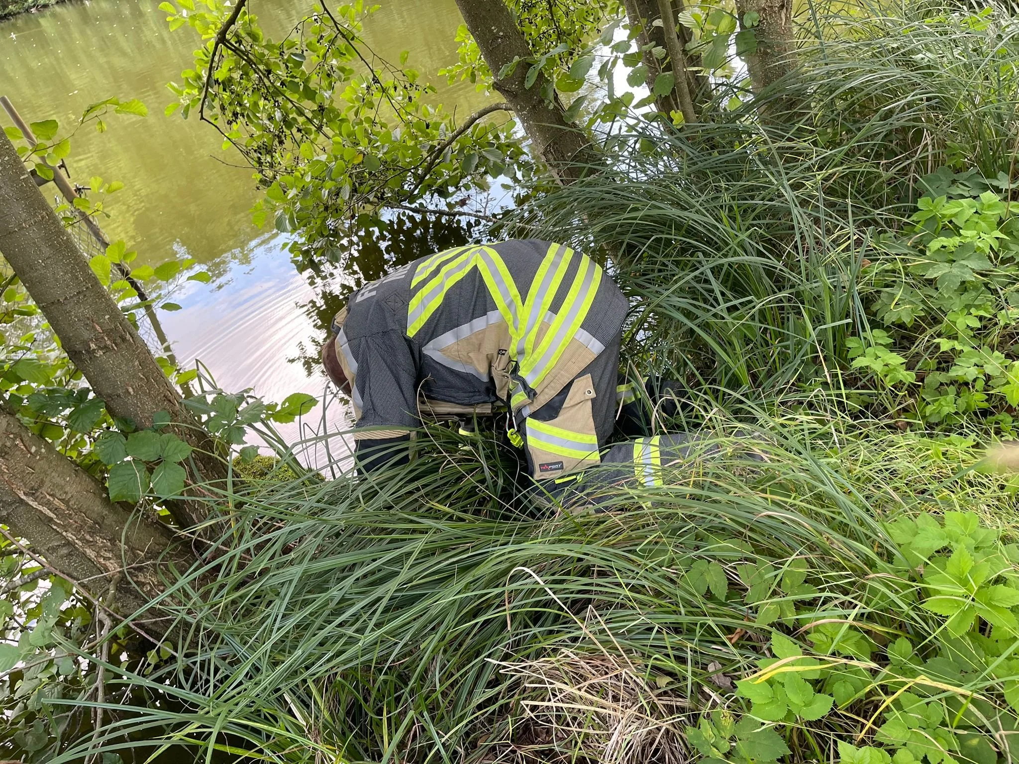 WhatsApp Image 2025-08-05 at 17.49.37.jpeg