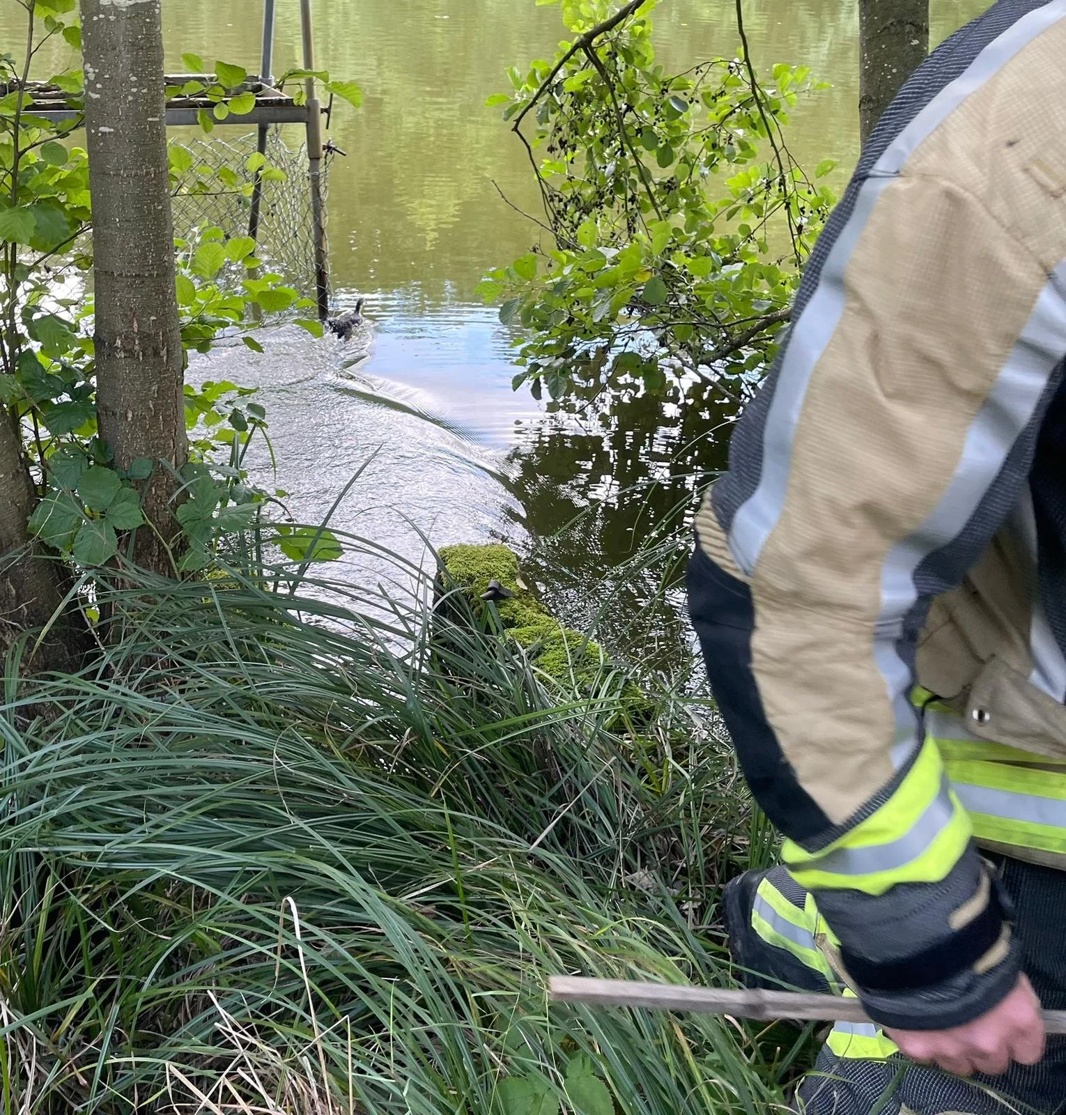 WhatsApp Image 2025-08-05 at 17.49.36.jpeg