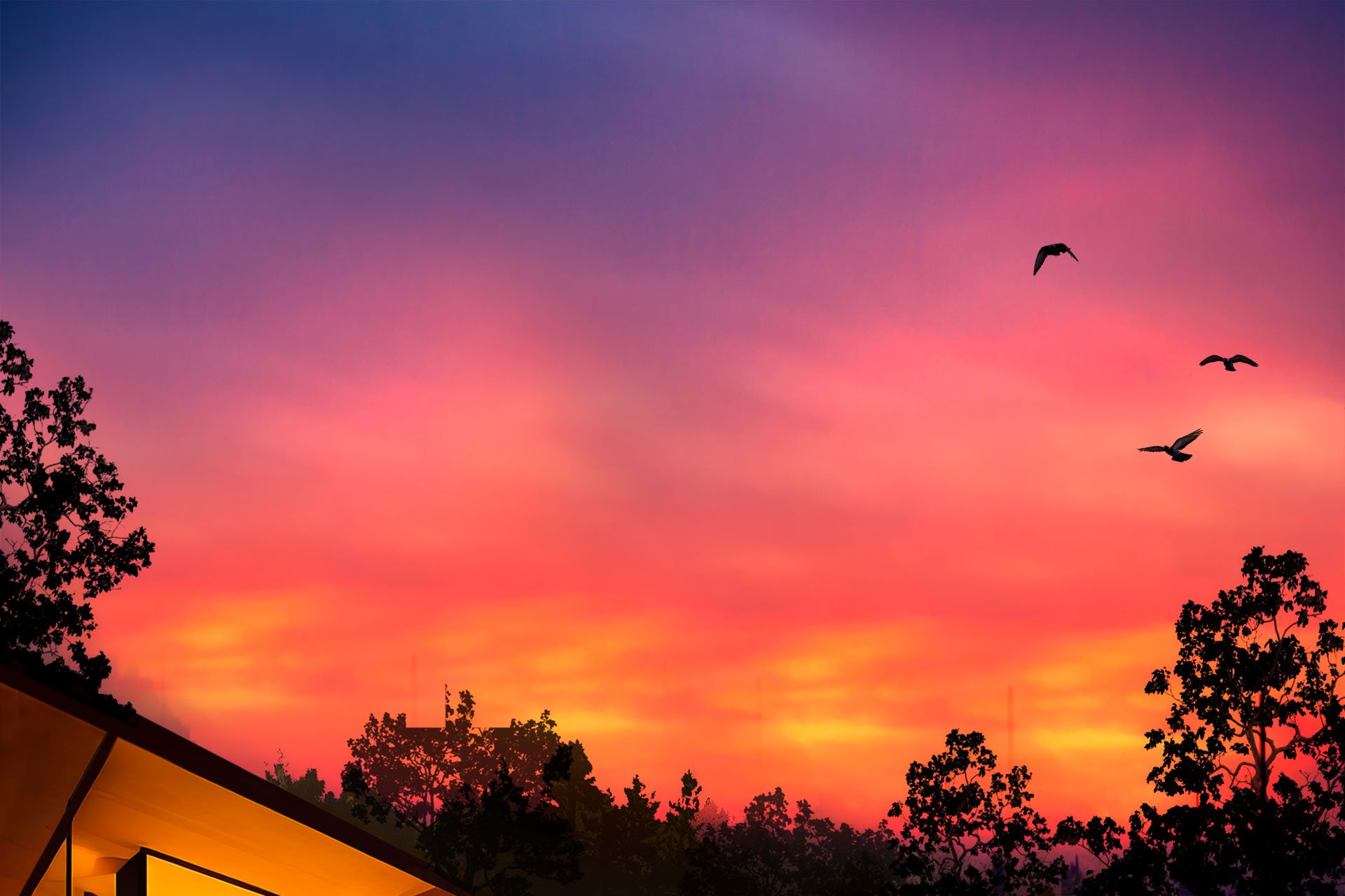 Adele Parks adele-parks