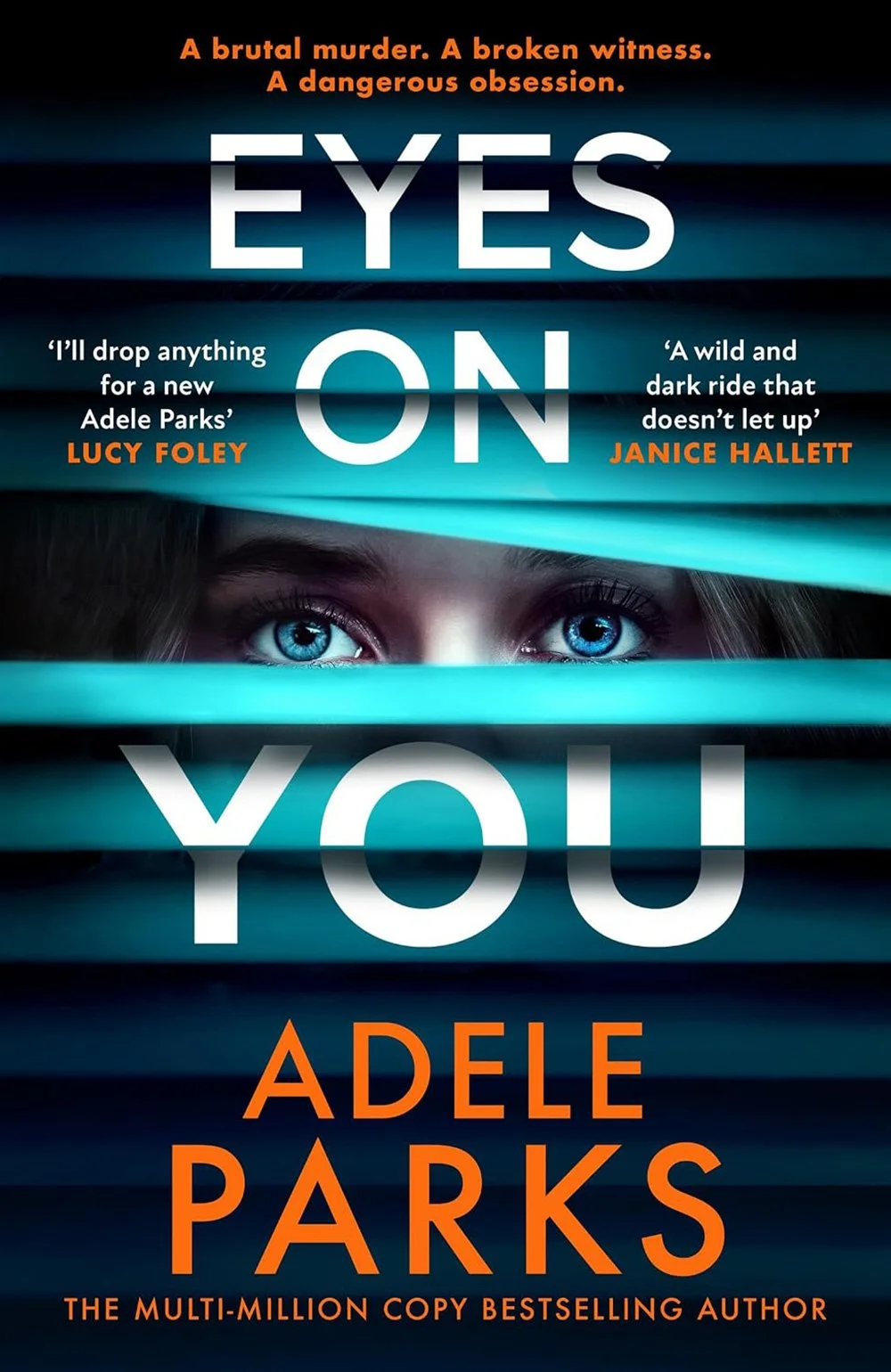 Eyes On You by Adele Parks