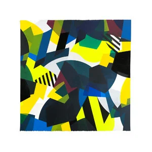 Canopy II