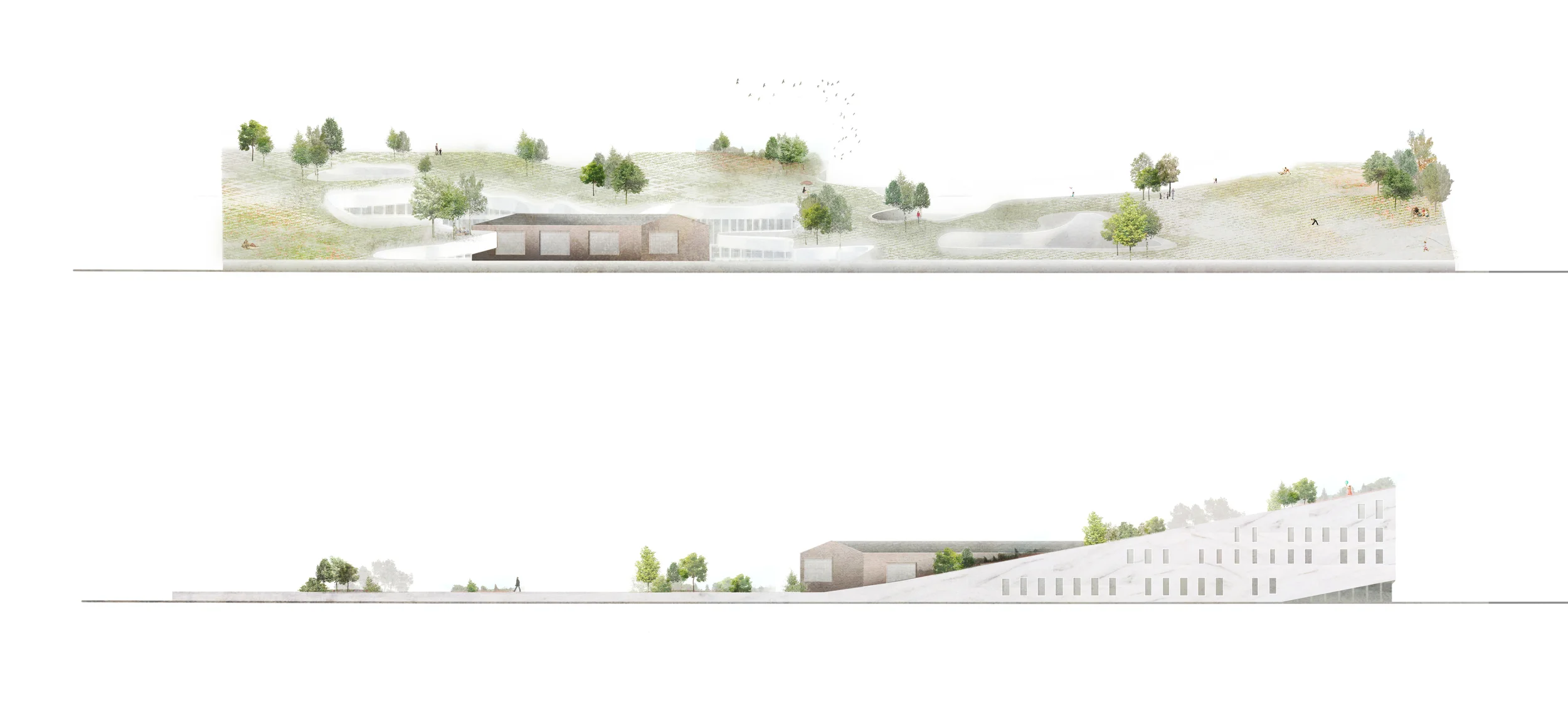 elevations.jpg