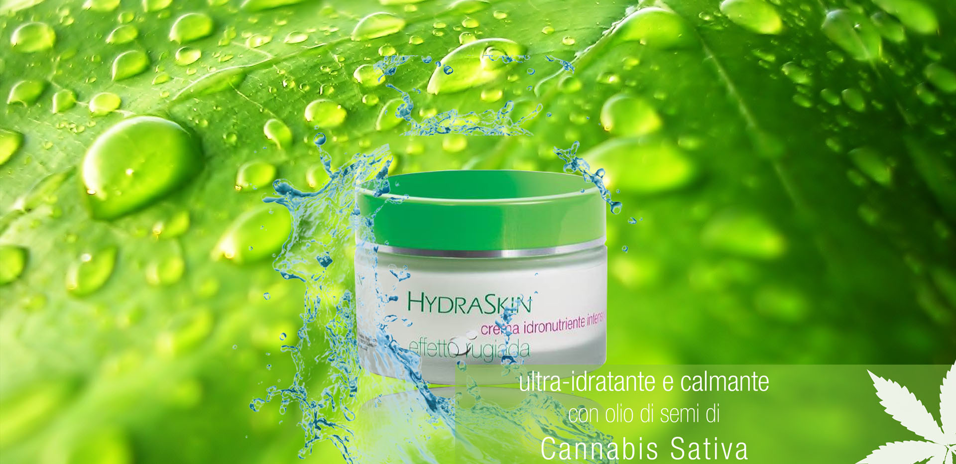 Hydraskin Banner cannabis.jpg