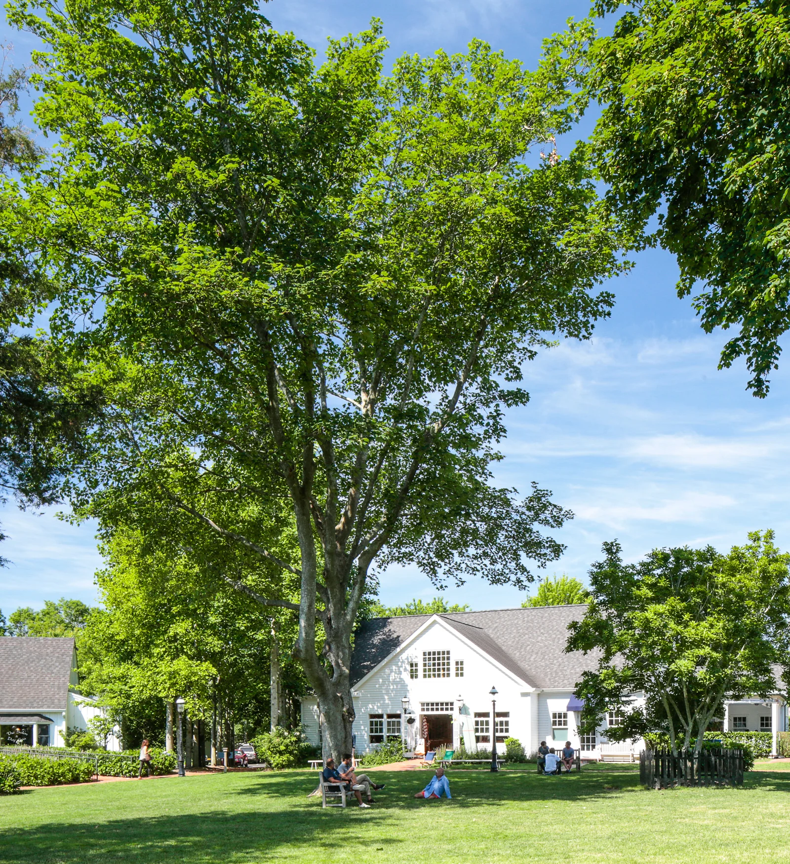 Hamptons_Amagansett_Square_General_20.jpg