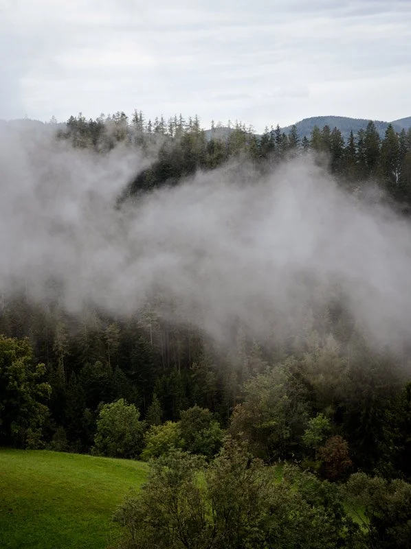 Almenland bei St. Kathrein – Landschaft im Nebel