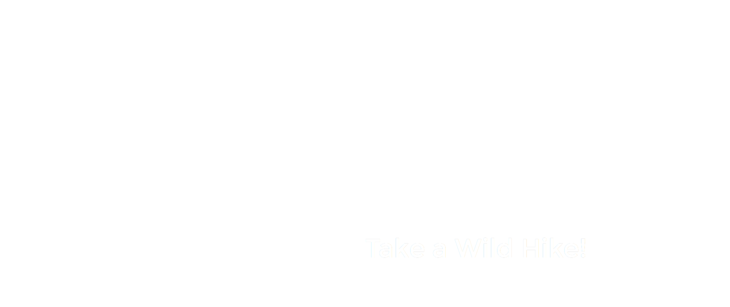 Wild Hikes Finland