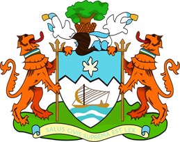 Freetown City Council