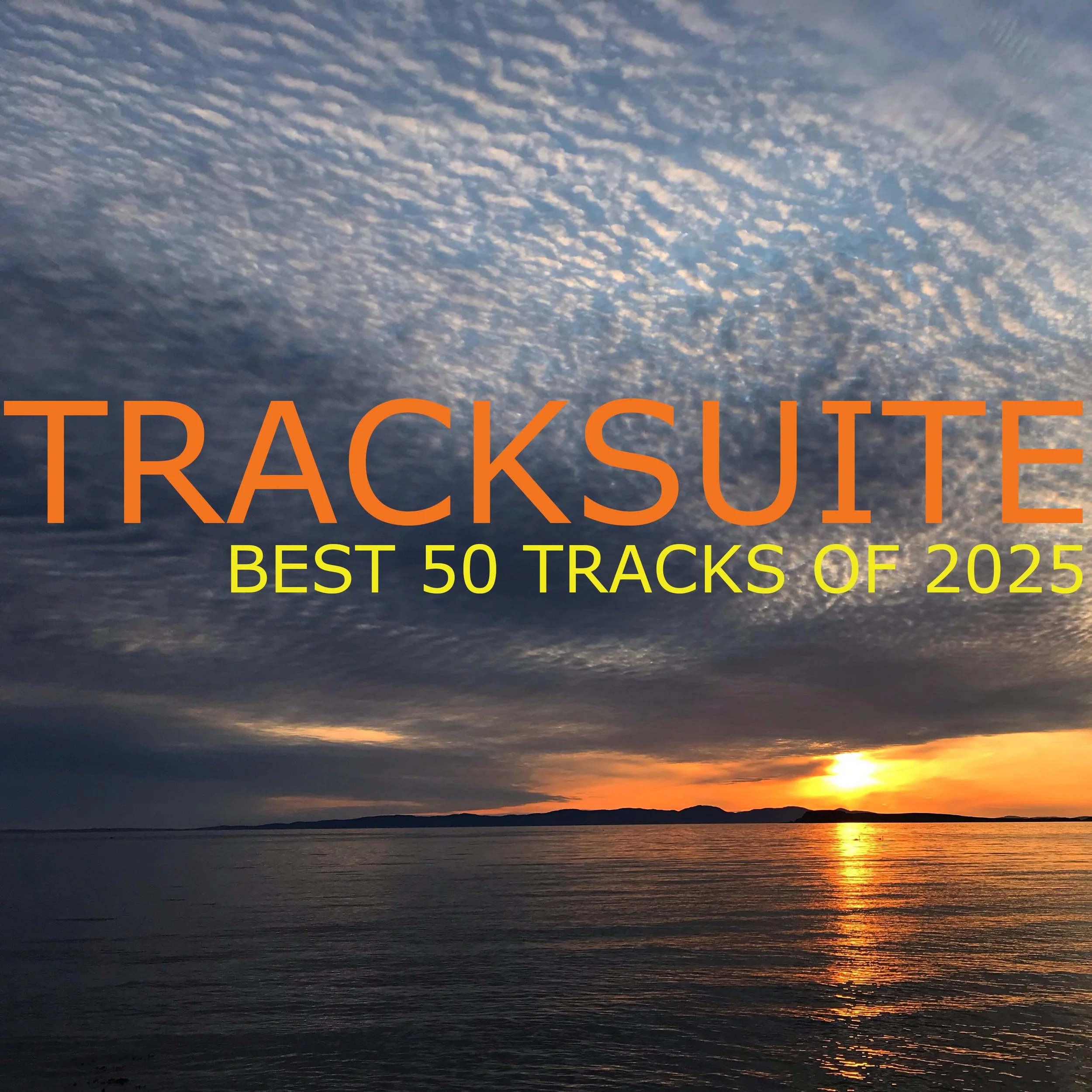    BEST 50 TRACKS OF 2025   