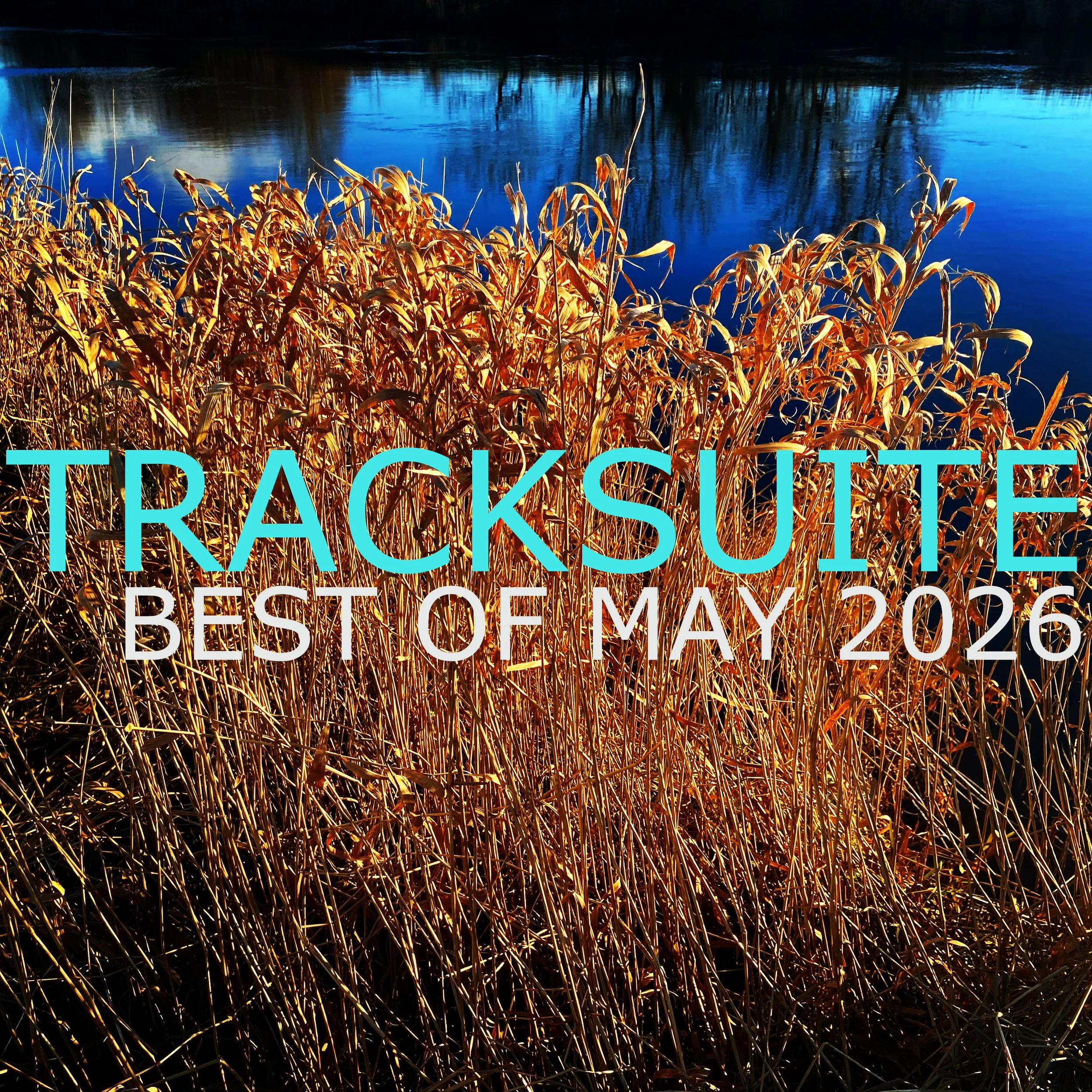    MAY 2026   