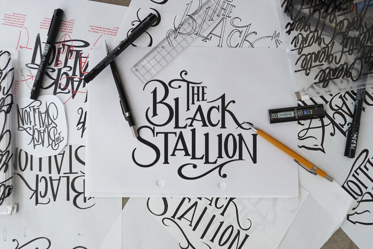 Black Stallion Web 3.jpg