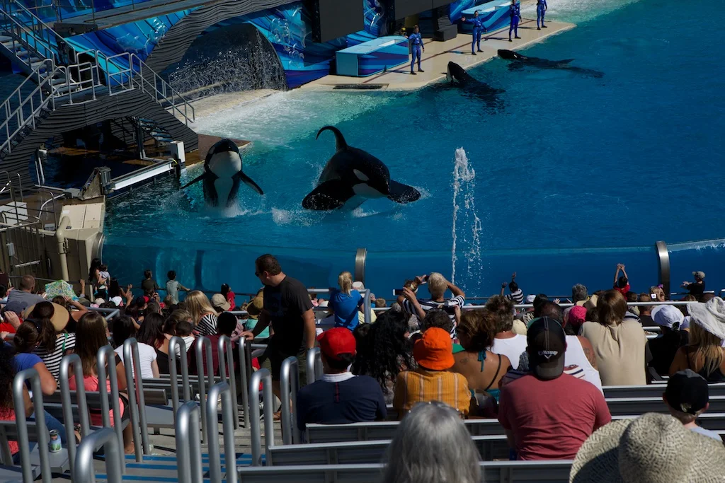 San diego Trip 9-2014 73.jpg