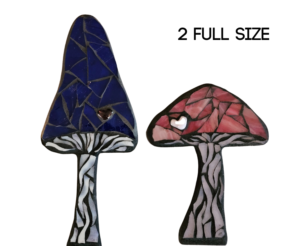 Mosaic Mushroom Love Kit