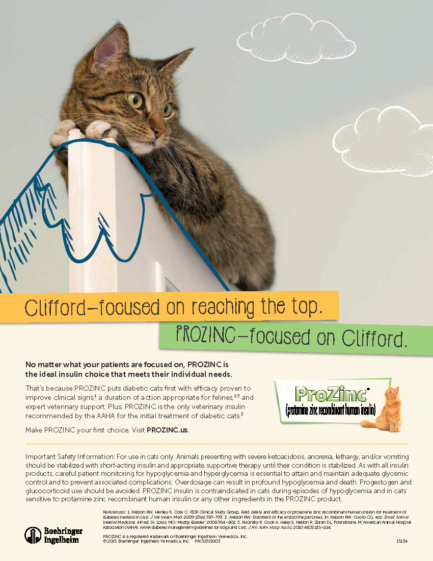 BIVM-15134 ProZinc Print Ad_single v2_Page_3.png