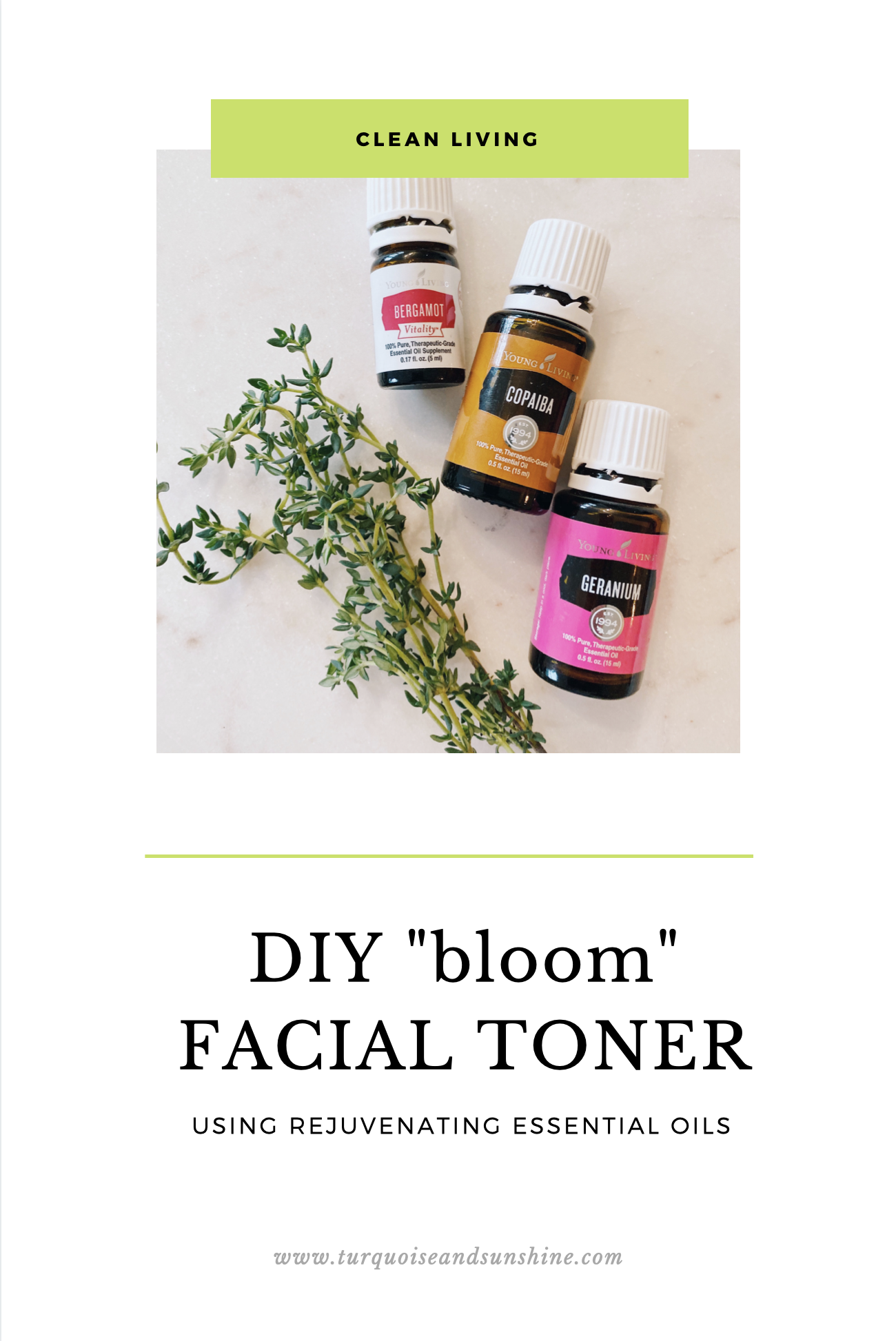 diy facial toner with essential oils