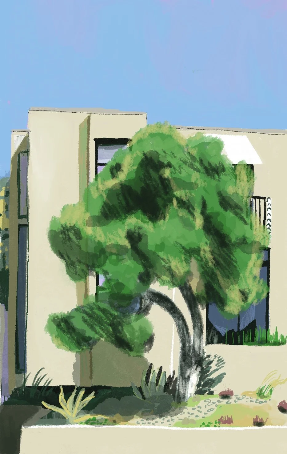 sketch tree.jpg