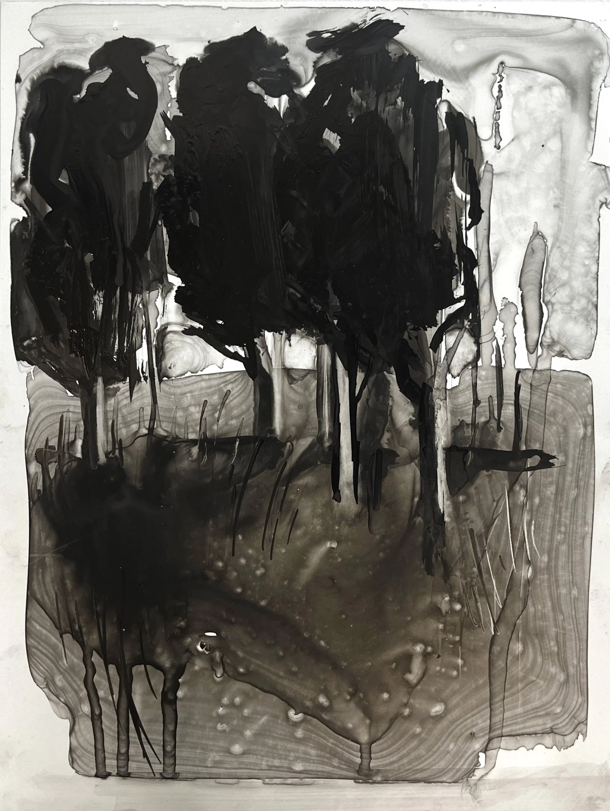 DriftinDust_12"x9"_$325.jpg