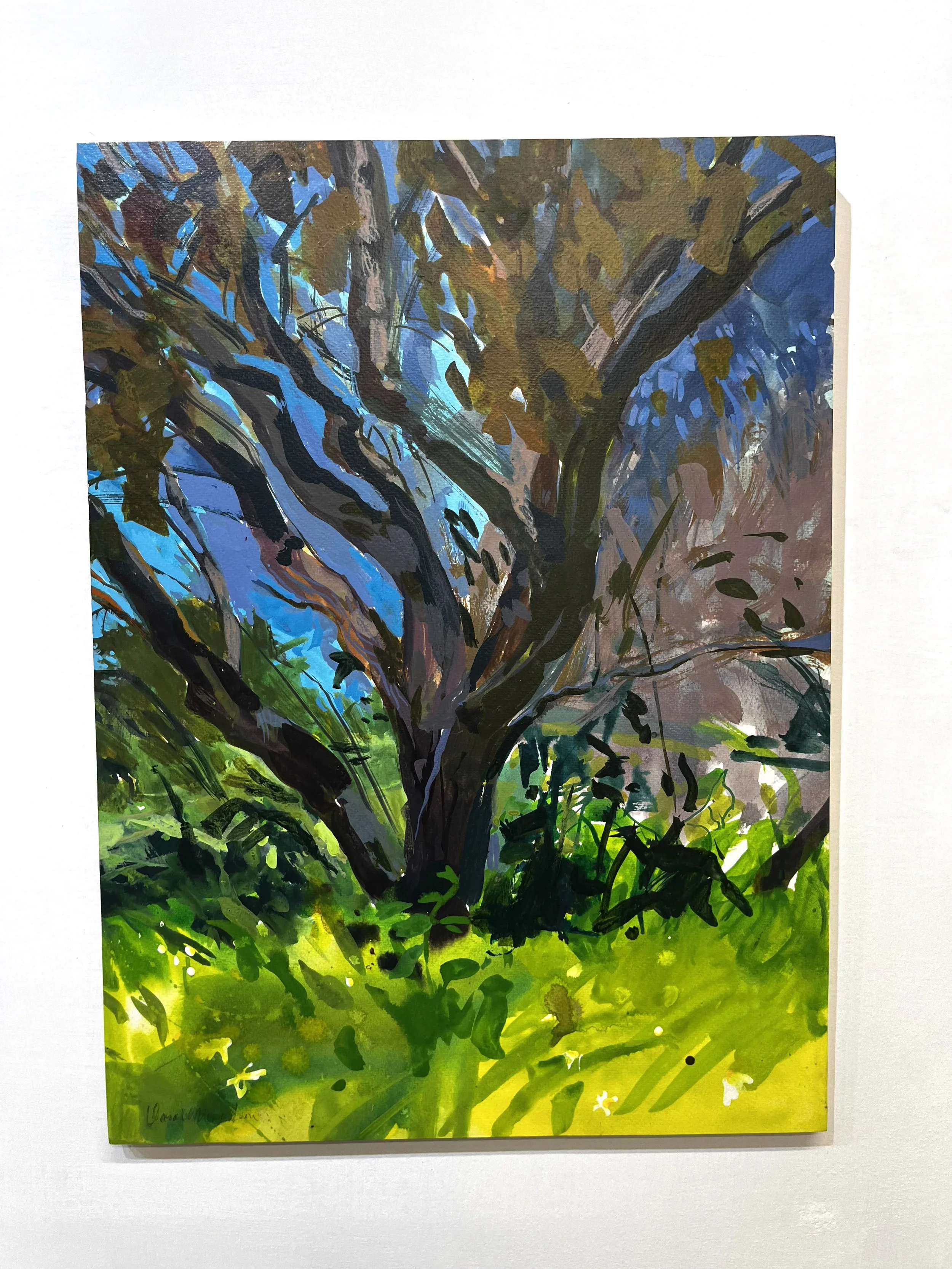 15-TreeAtMidday_19 X14_$275.jpg