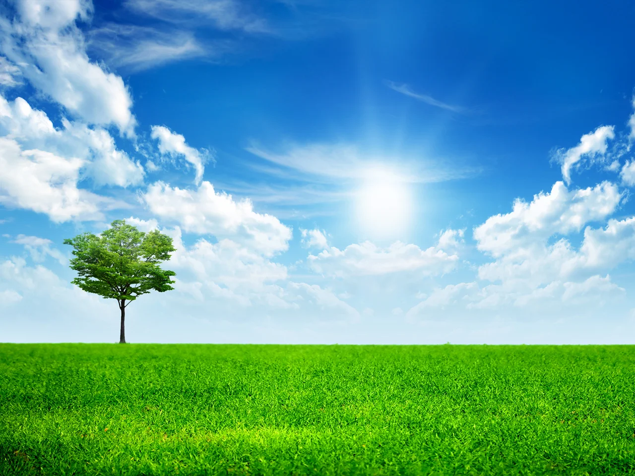 Sunny-day.jpg