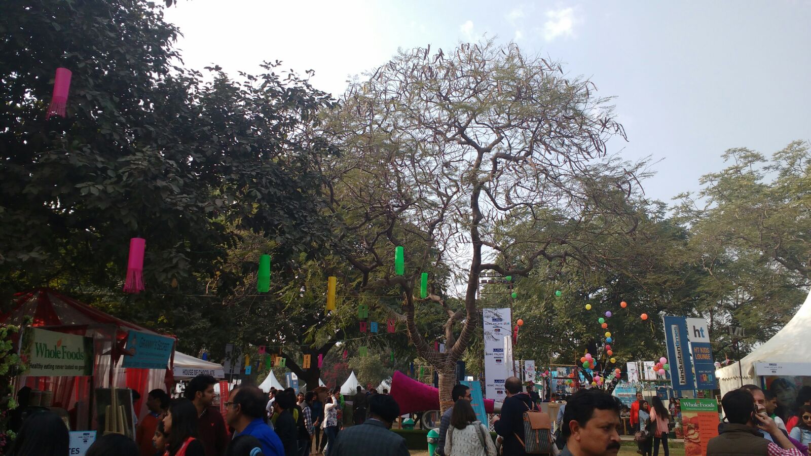 Nehru Park Palate Mini Festival, Feb 2016