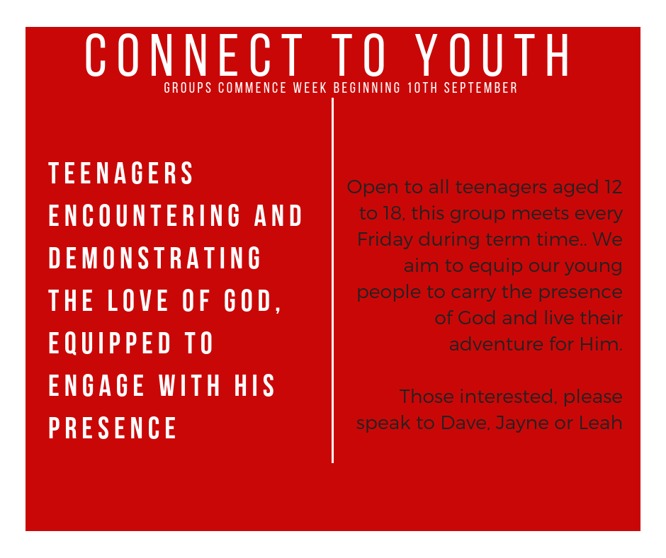 Connect to Youth Flyer.png