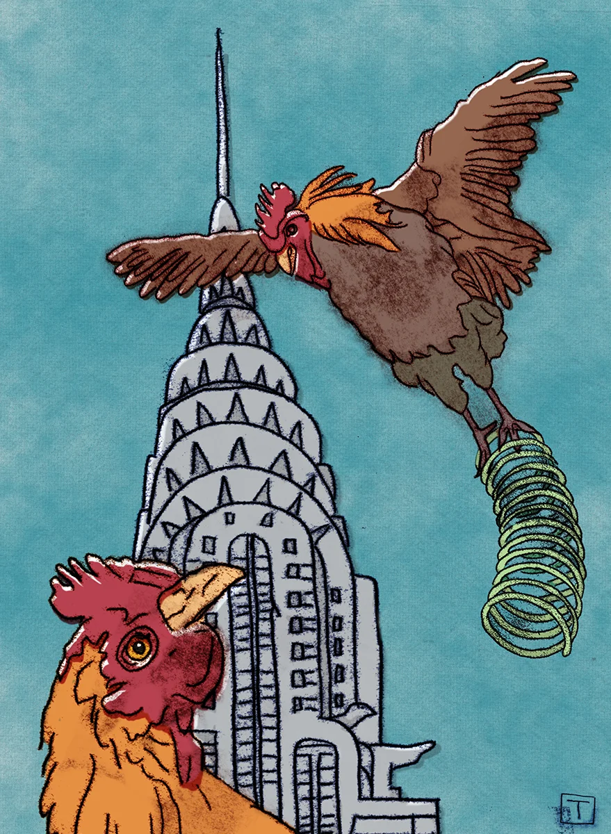 Spring Chickens