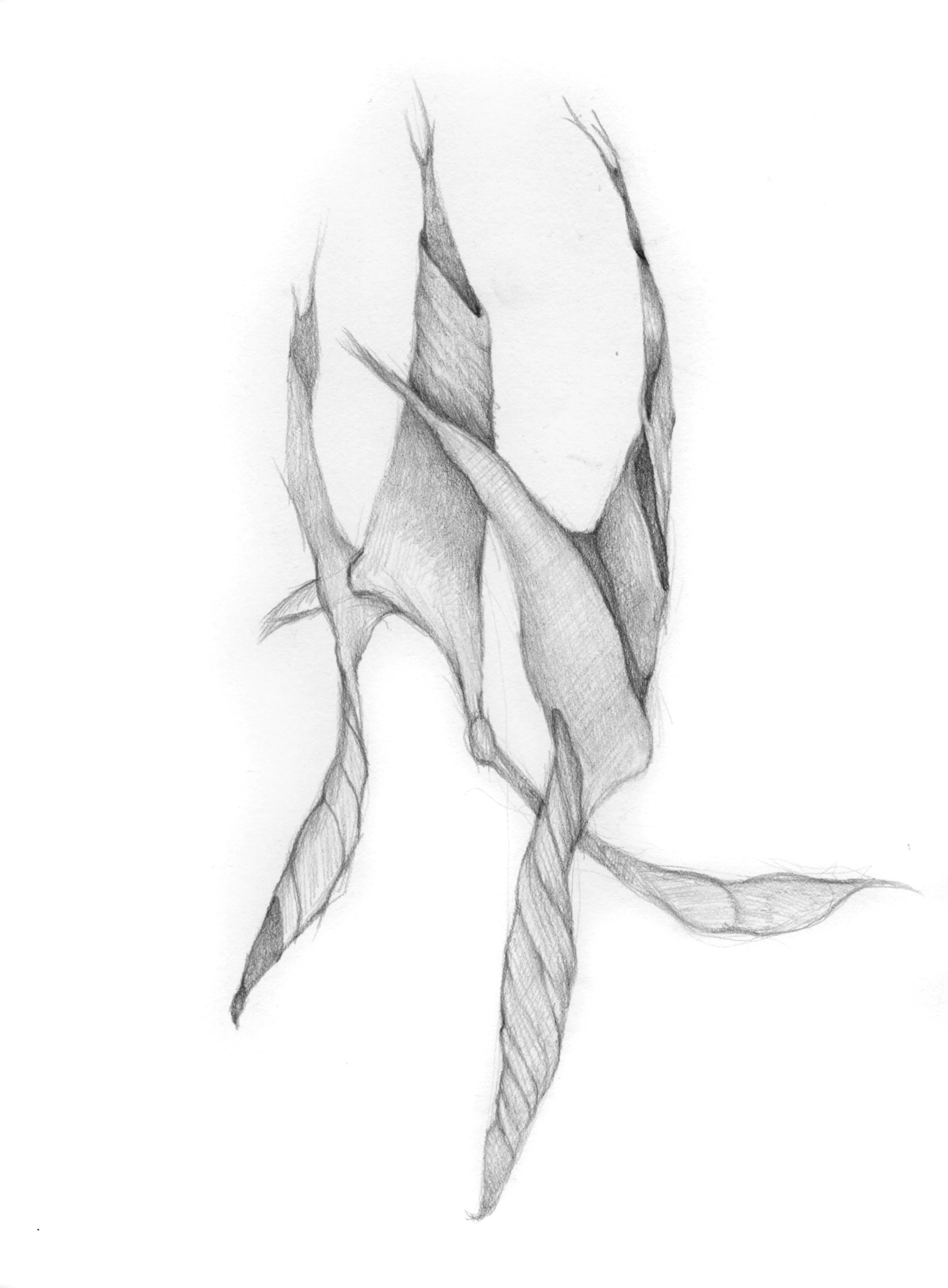 twisted-things_Teresa-Celemin.jpg