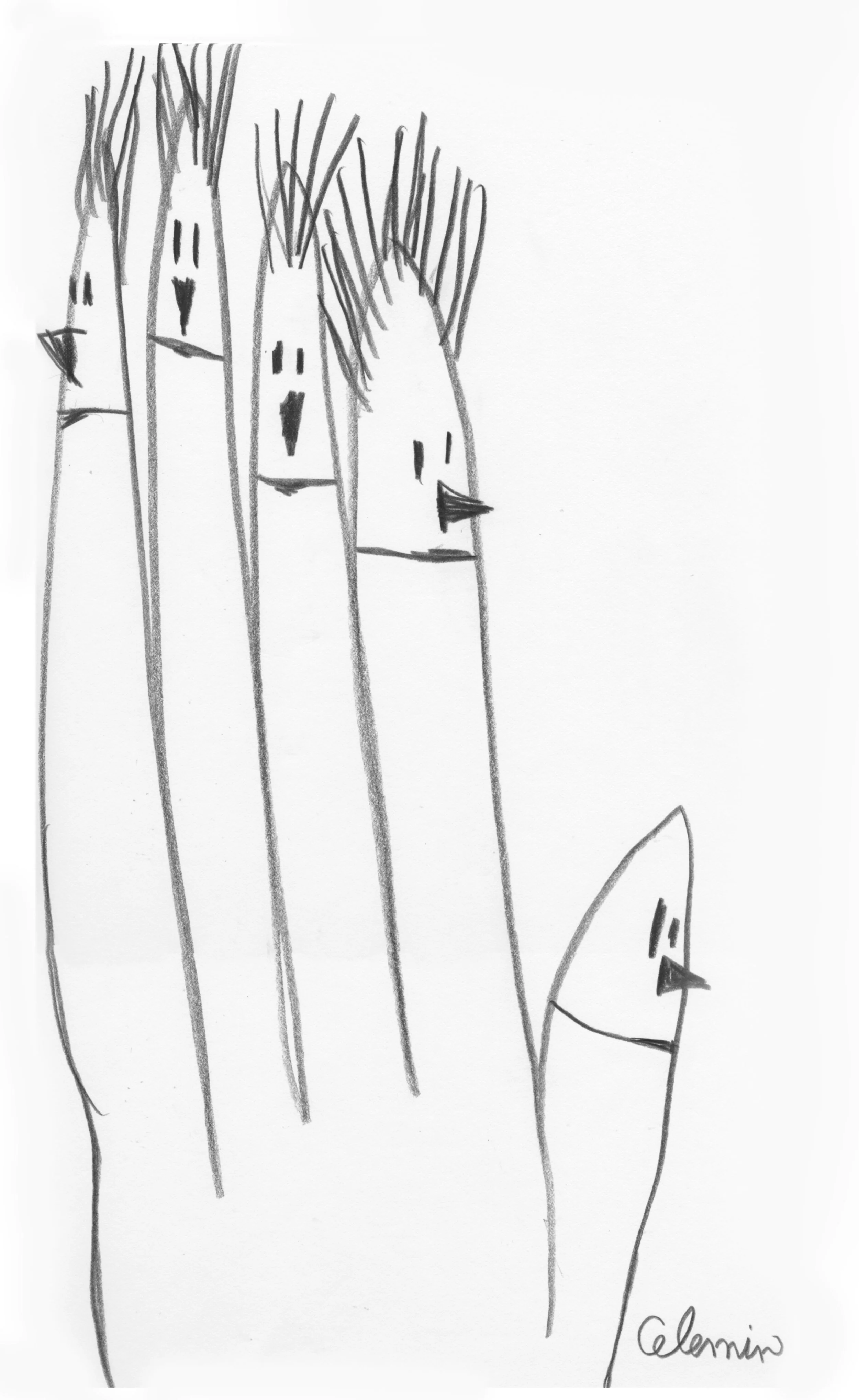 face-fingers_Teresa-Celemin.jpg