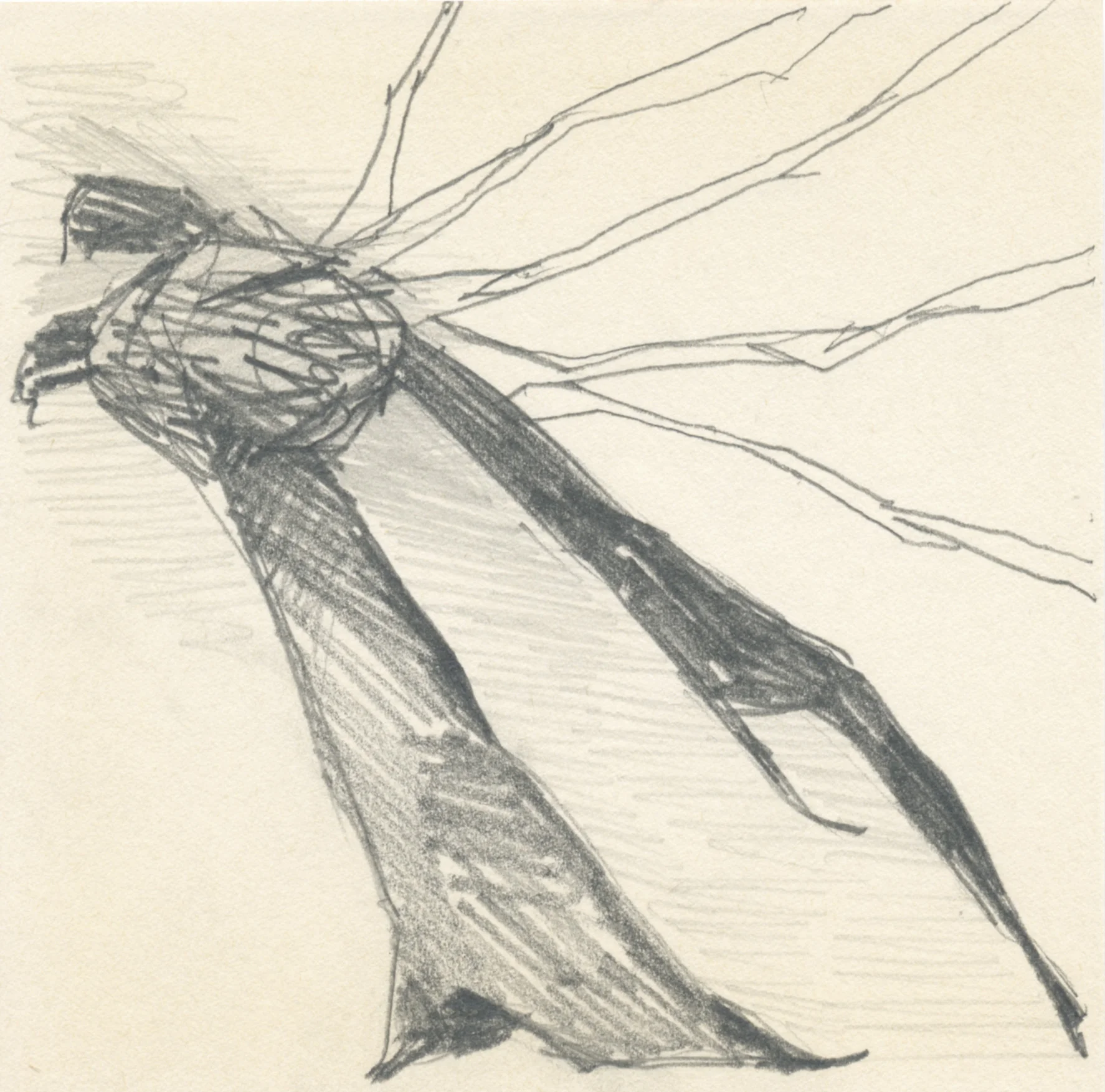 tree-human-gesture_Teresa-Celemin.jpg