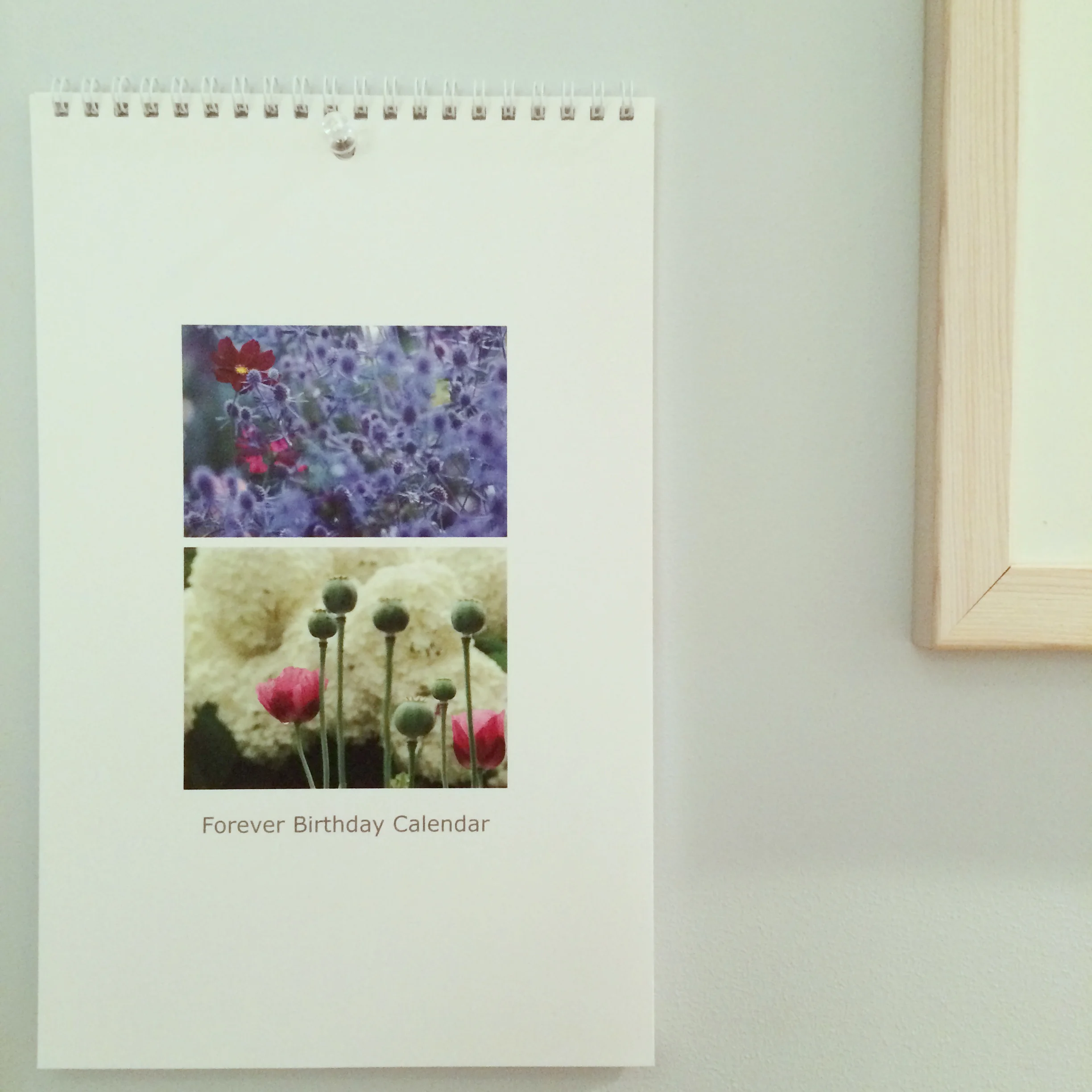 Forever Birthday Calendar