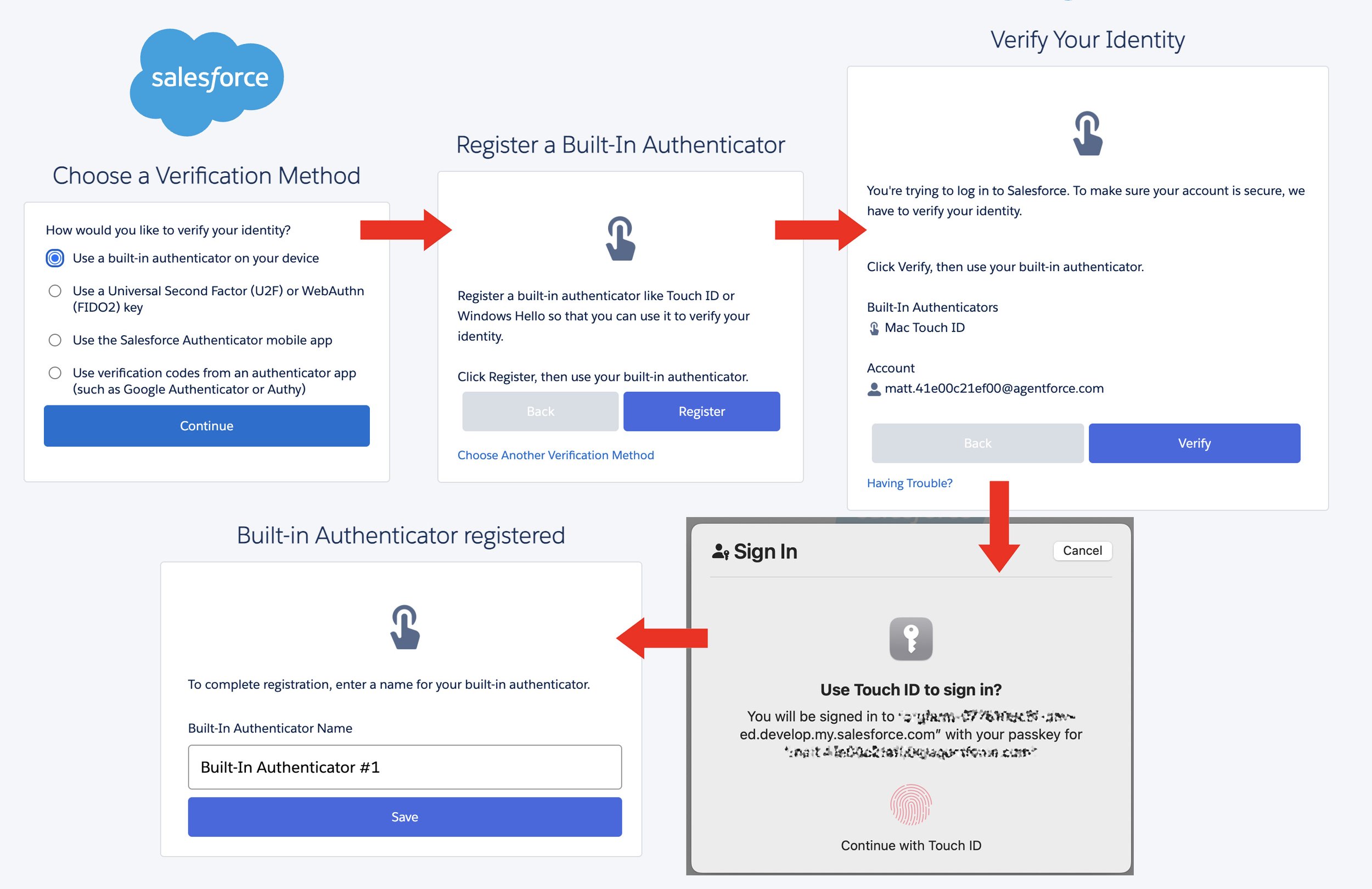 new authentictor steps.jpg